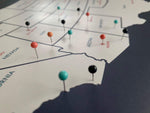 Load image into Gallery viewer, USA Pushpin Travel Map
